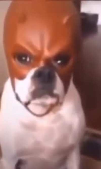 😡😡😡😡