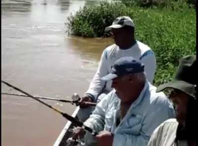 Hands Off My Fish
