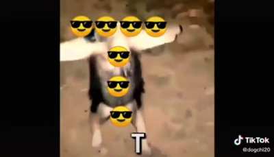😎 T 😎