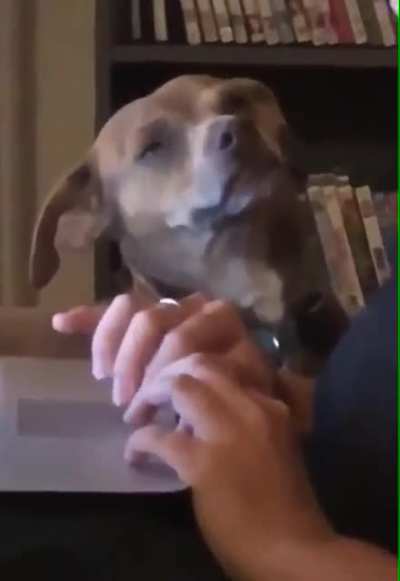 J&aacute; t&aacute; terminado humano?