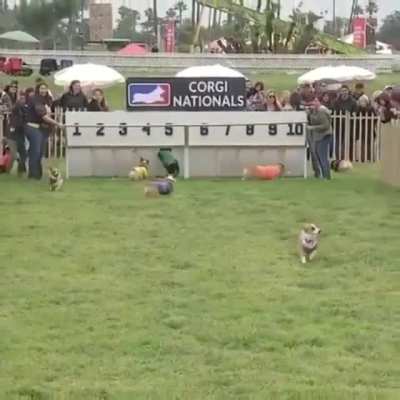 Off to the races...