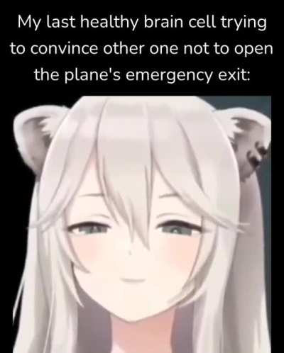 Laplus plz
