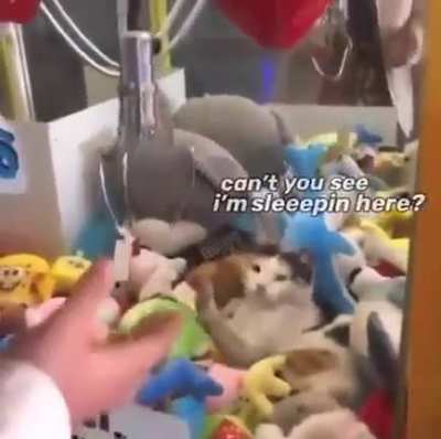 Wakey wakey&hellip;