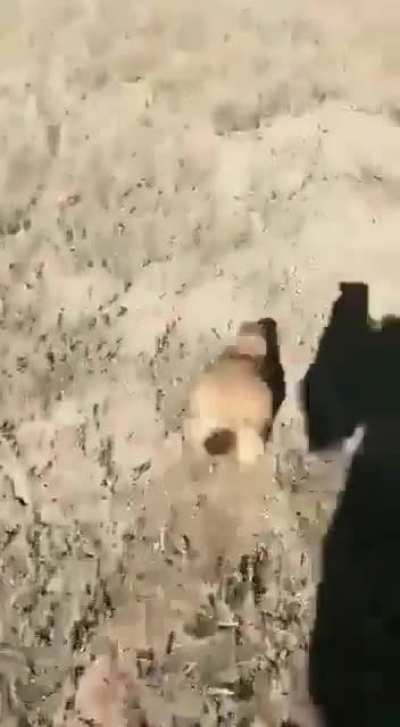 Funniest shit ever filmed