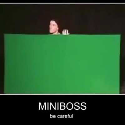 MINIBOSS (be careful)