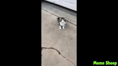 aaaaaaaaaaaaaa...