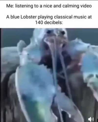 Rulobster.