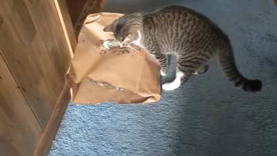Bag slaps