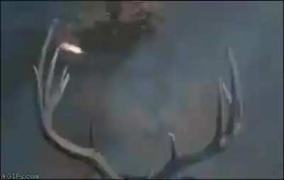 shitposting - Video #6056