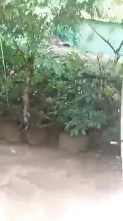 Bridge collapses as people attempt to transport a coffin