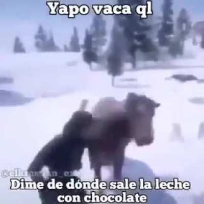 Yapo😠