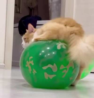 The Meditation Ball