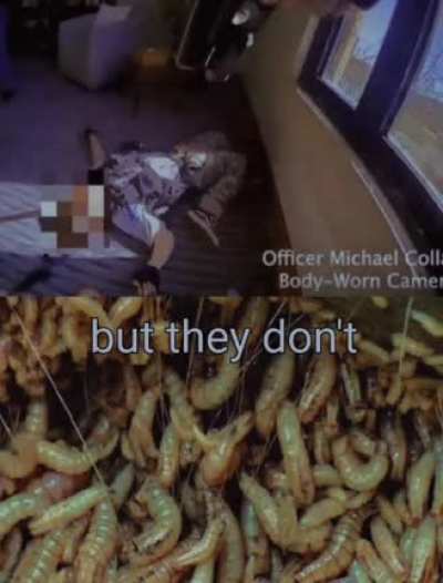 im sorry