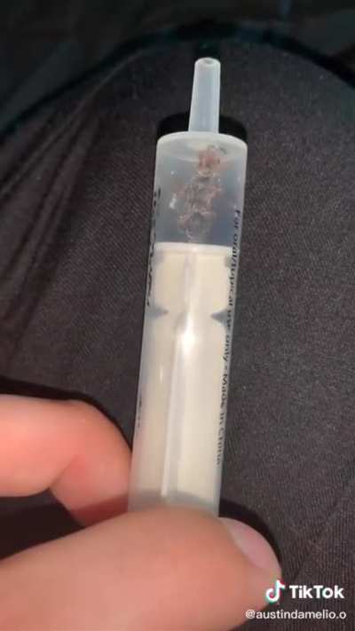 the most r/fuckwasps thing i&rsquo;ve ever seen