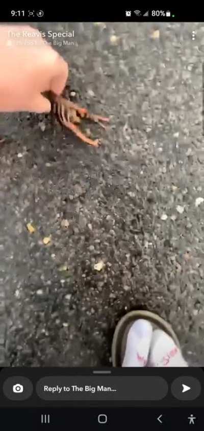 clammed Jimmy and timmy