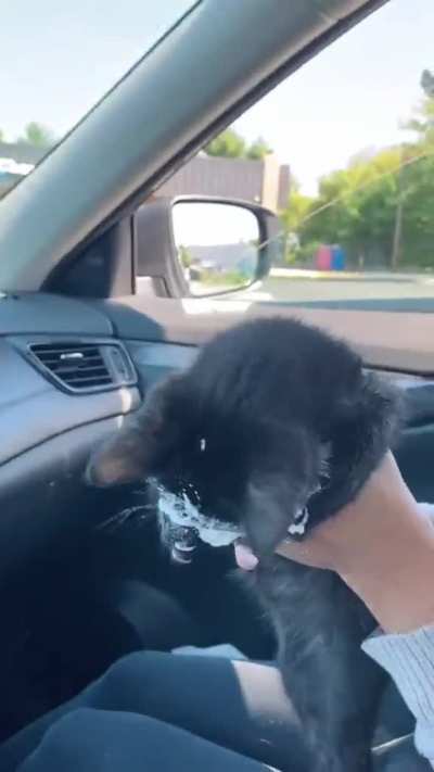 Kittacino