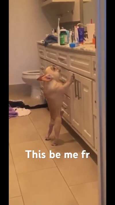 Found this on youtube