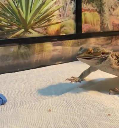 hungry boy!