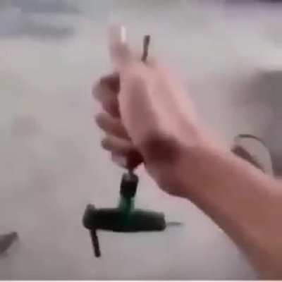 Goose