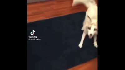 he&rsquo;s working on his movement