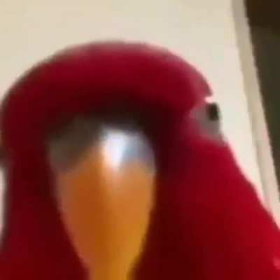 oewoewoeoweowoeow *lo banea*