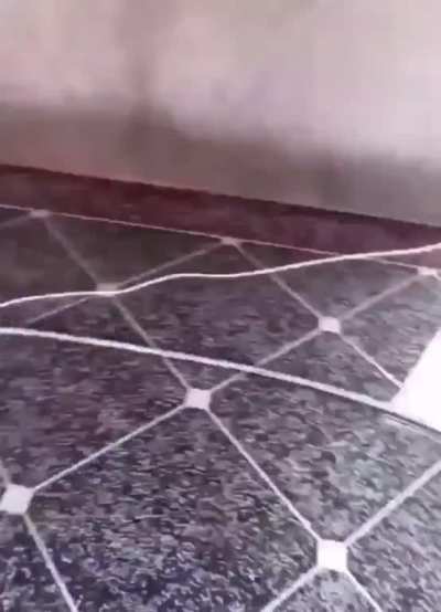 Terrazzo (Italian:&rdquo;terrace&rdquo;) is a composite material containing chips of any variety: stone, glass, marble or granite held together with a binder. Today, that is usually a concrete or epoxy-resin binder. The flooring is then cured, ground and polished
