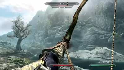 Been playing for years and I finally caught a funny glitch!