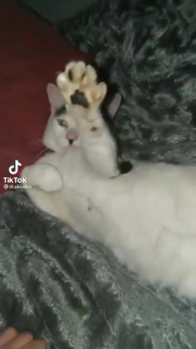 Oh