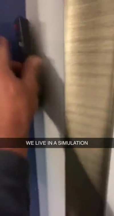 We live in a simulation
