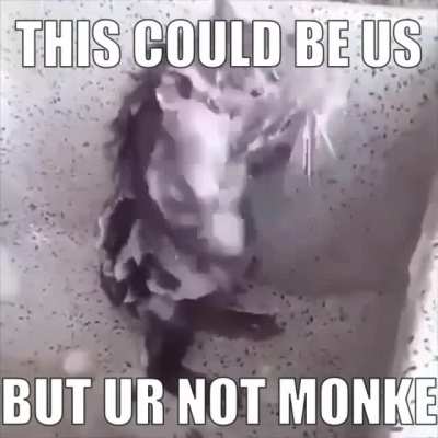 rule