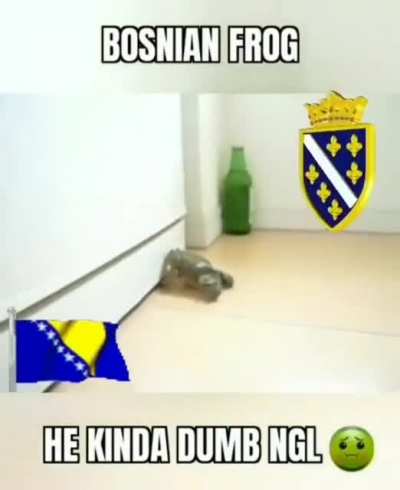 Serbia frog 🐸💪🏼💪🏼❤️ Bosnia frog kinda krinj ngl 🤮🤢🏳️&zwj;🌈