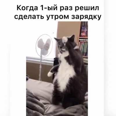 Зарядка