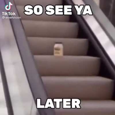 Mayonesa en una escalera!? quiero el manga y anime AHORA