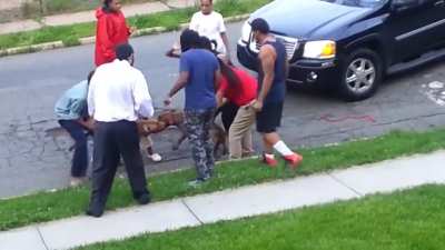 Two dogs get in a viscous fight on the street. The owners and bystanders try to separate them- and then almost get in a fight themselves.