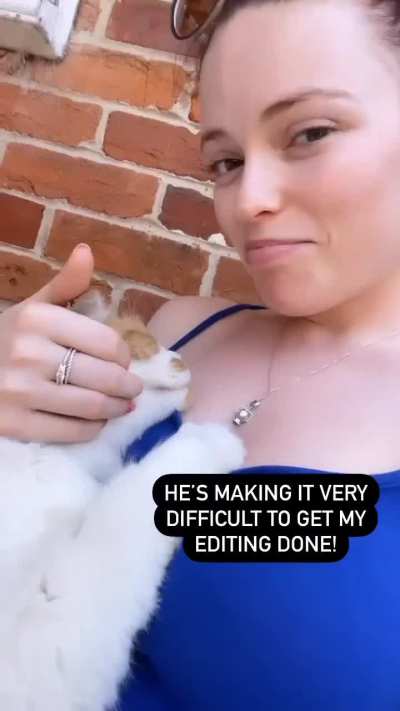 Old Instagram Story