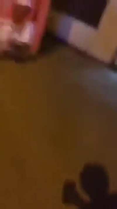 Niko Bellic IRL