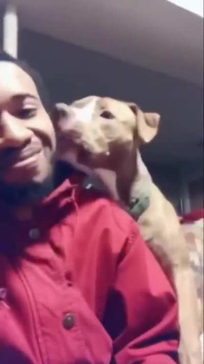 Kiss your dog and then stop to see their reaction