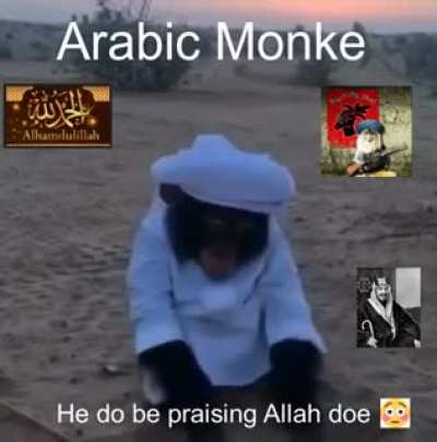 Arab Monke 😳😳😳😳😳