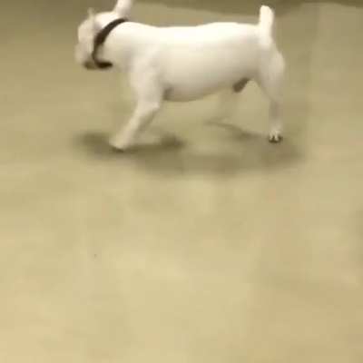 Super excited to see Dad