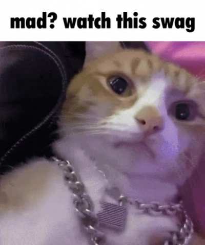 Rule
