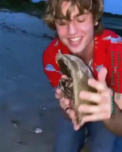 R&ouml;&atilde;ch l&ouml;v&euml;r k&icirc;ss br&ouml;th&euml;r &oslash;n th&euml; b&eacute;āch.