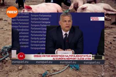 Megnyalta a kecske a t&ouml;k&eacute;t!