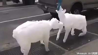 trashus