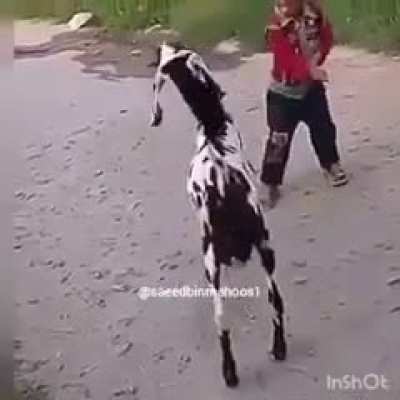 You reap what you sow