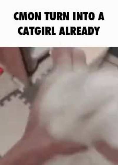 Catgirl rule