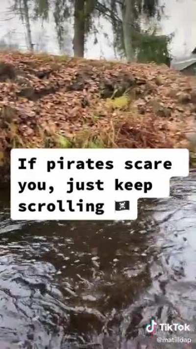 That is the best pawrate I&rsquo;ve ever seen