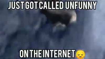 "me after nobody laughs at my funni beatdown joke and calls me unfunny!!!1111!!!!"/s