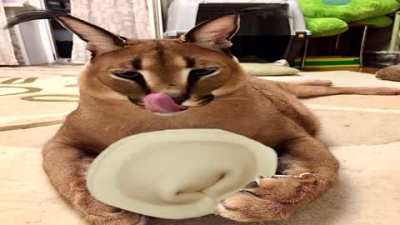 Floppa makes Pilmeni