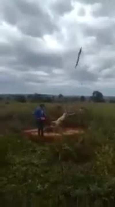 karma is a branch