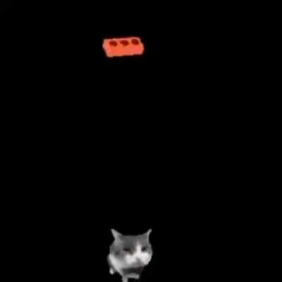 Ultrakitty